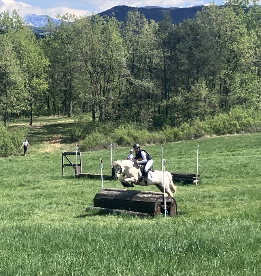 Castrone PFS Pony Francese da Sella In vendita 2017 Palomino ,  SNOOPY DES ETISSES (PFS)