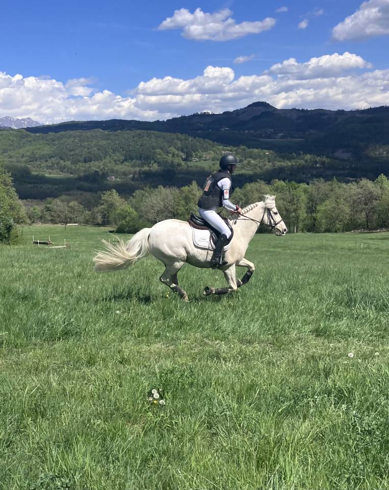 Castrone PFS Pony Francese da Sella In vendita 2017 Palomino ,  SNOOPY DES ETISSES (PFS)