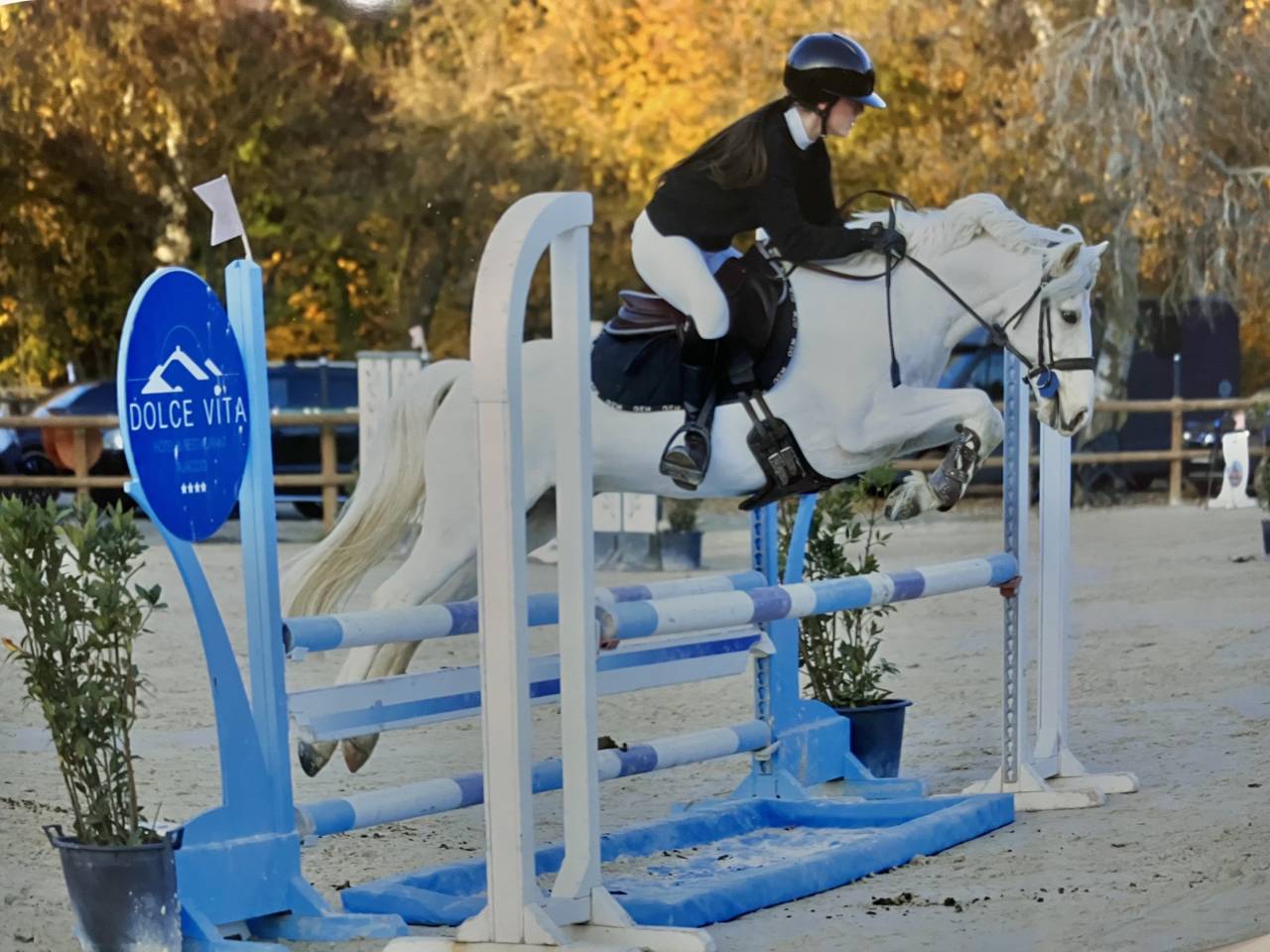 Castrone PFS Pony Francese da Sella In vendita 2017 Palomino ,  SNOOPY DES ETISSES (PFS)