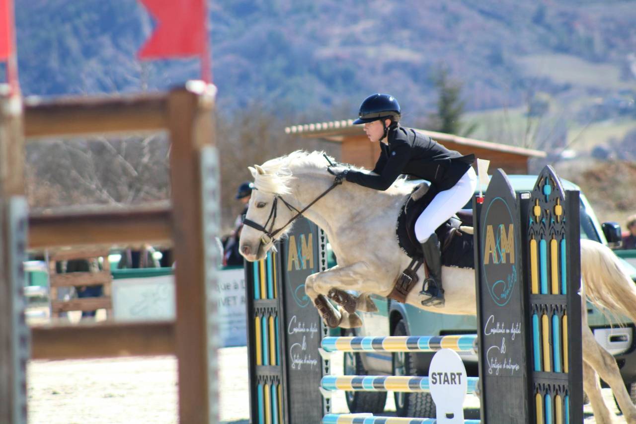 Castrone PFS Pony Francese da Sella In vendita 2017 Palomino ,  SNOOPY DES ETISSES (PFS)