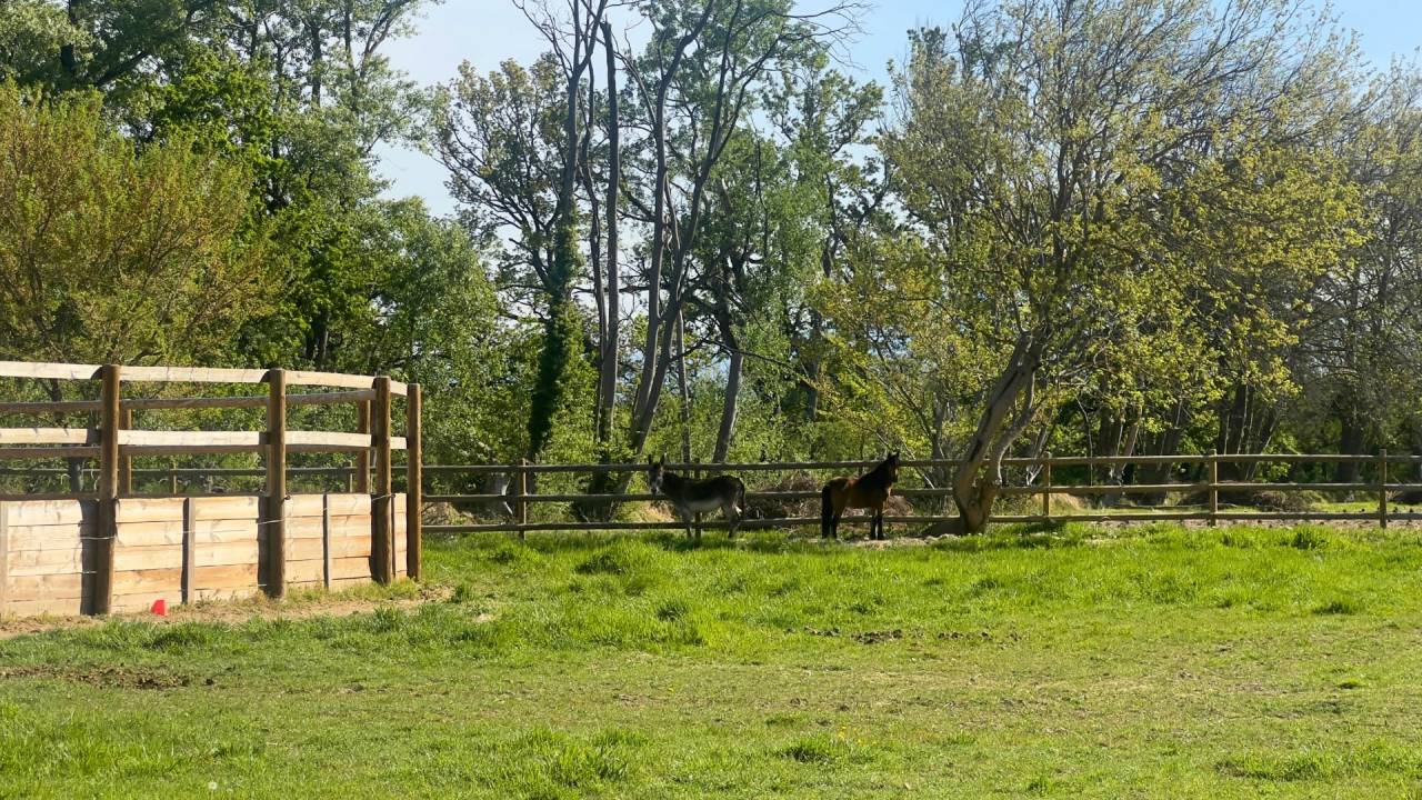 Propriet&agrave; equestre In vendita Vaucluse
