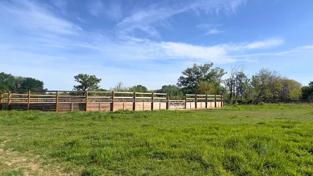 Propriet&agrave; equestre In vendita Vaucluse