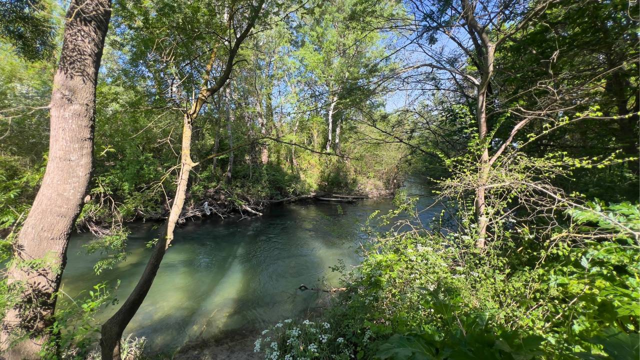 Propriet&agrave; equestre In vendita Vaucluse