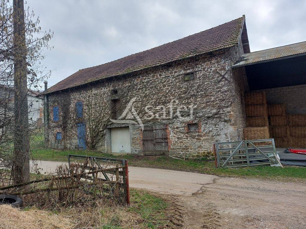 Azienda ovina In vendita Creuse