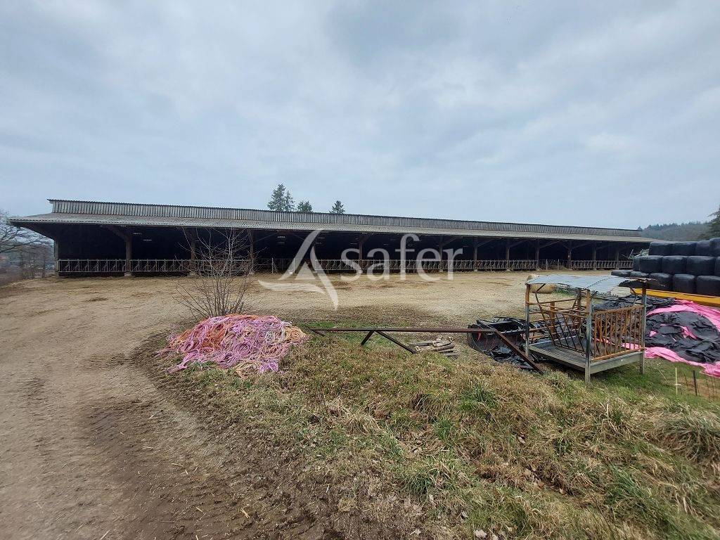 Azienda ovina In vendita Creuse