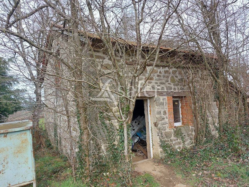 Azienda ovina In vendita Creuse