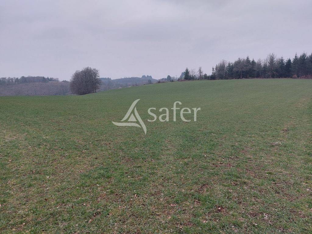 Azienda ovina In vendita Creuse