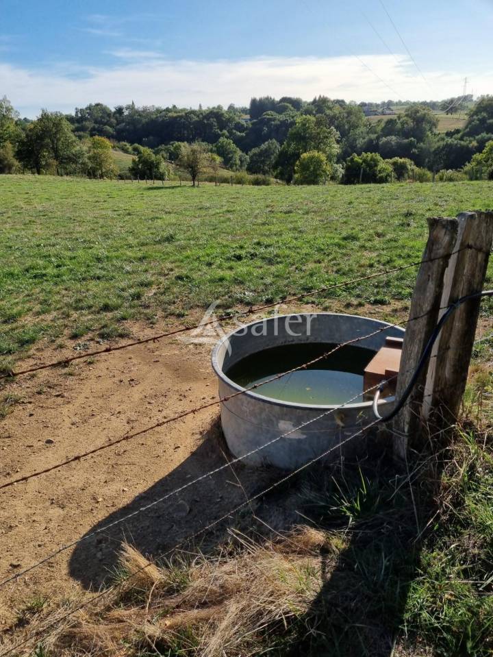 Azienda agricola In vendita Aveyron