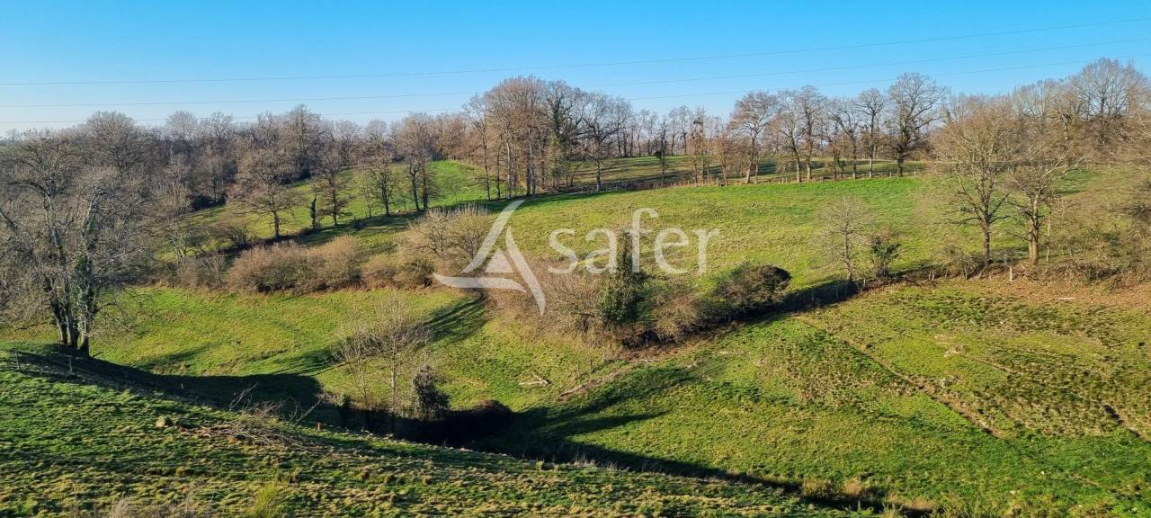 Azienda agricola In vendita Aveyron