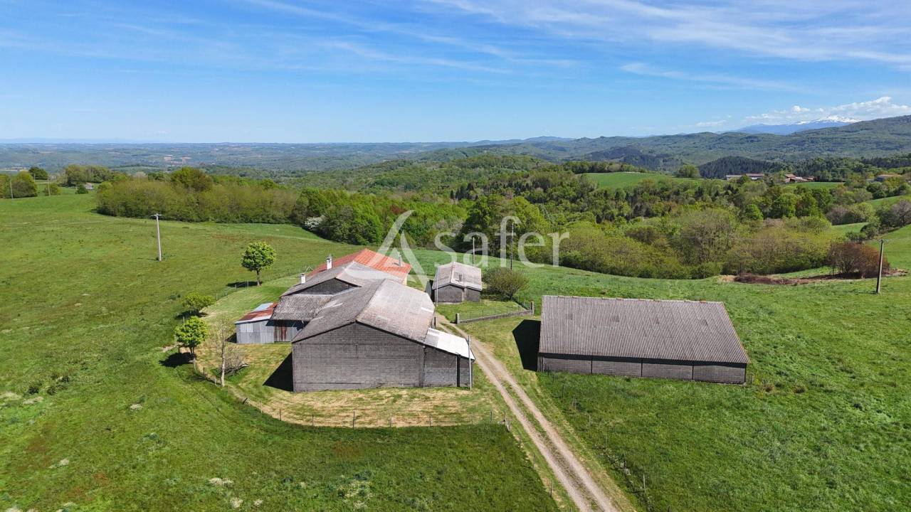 Azienda agricola In vendita Haute-Garonne