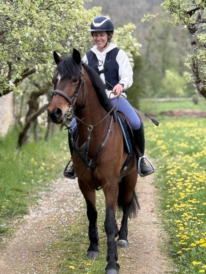 Castrone Connemara In vendita 2020 Baio ,  PRINCE DU VAL