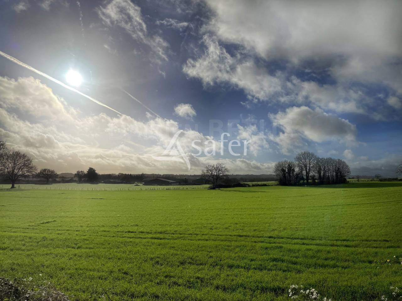 Azienda agricola In vendita Vend&eacute;e