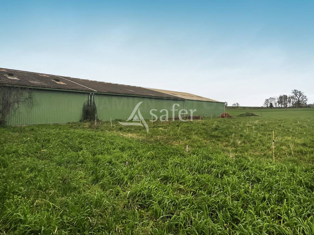 Azienda agricola In vendita Vend&eacute;e