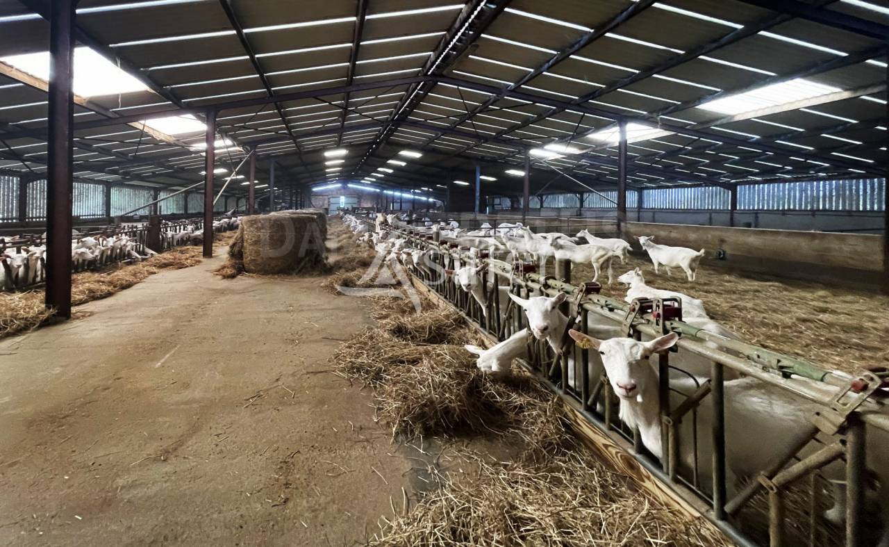 Azienda agricola In vendita Vend&eacute;e