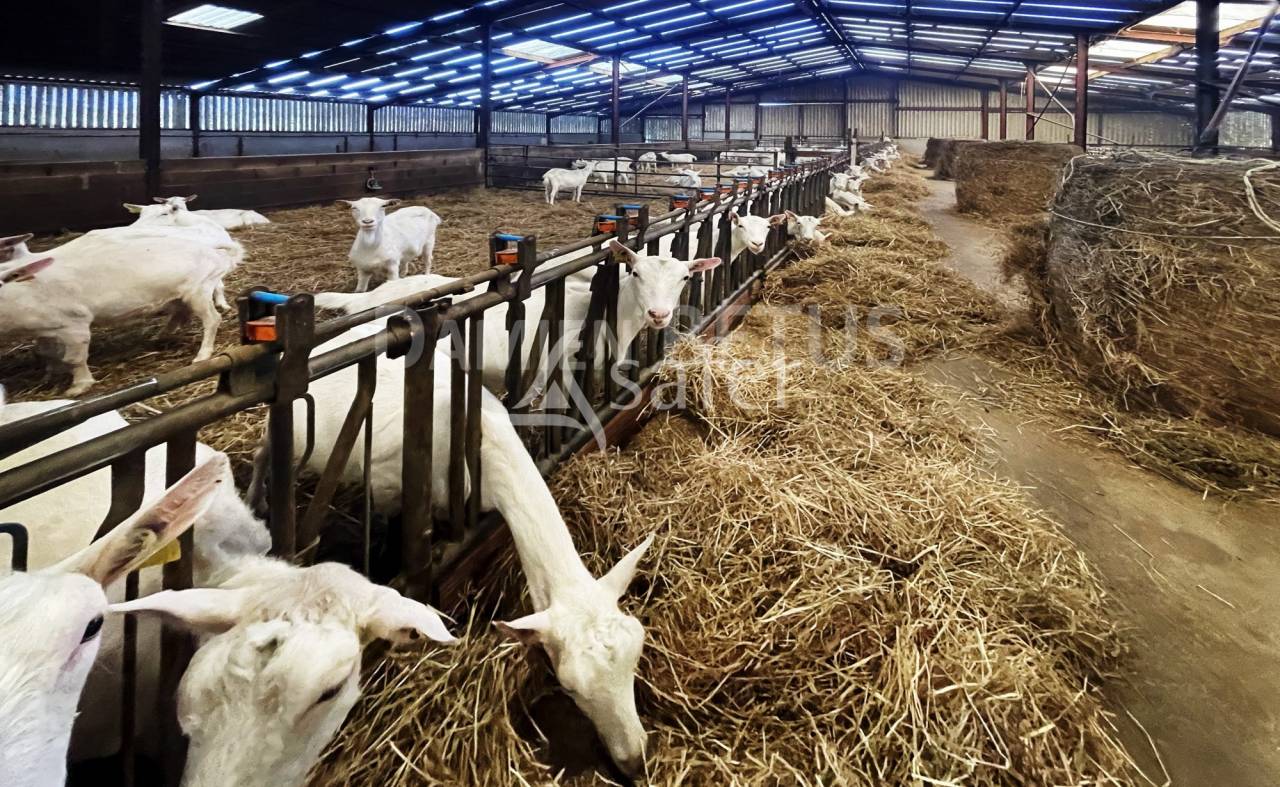 Azienda agricola In vendita Vend&eacute;e