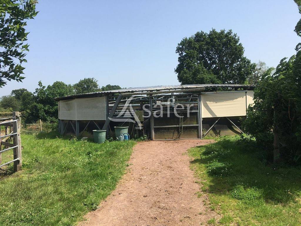 Propriet&agrave; equestre In vendita Calvados