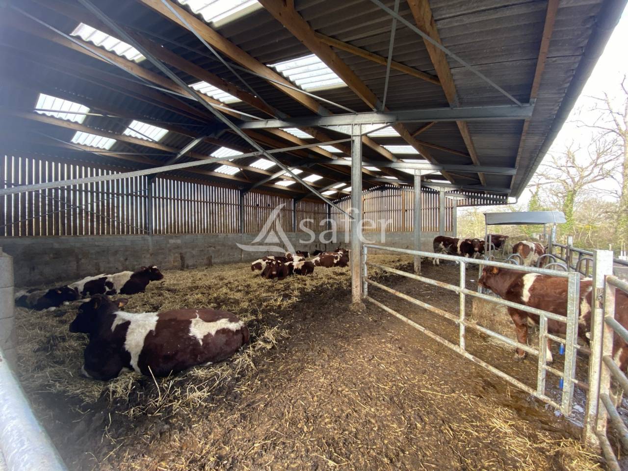 Propriet&agrave; equestre In vendita Calvados