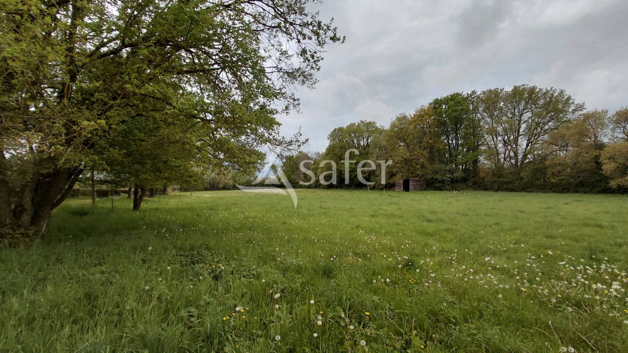 Propriet&agrave; equestre In vendita Deux-S&egrave;vres