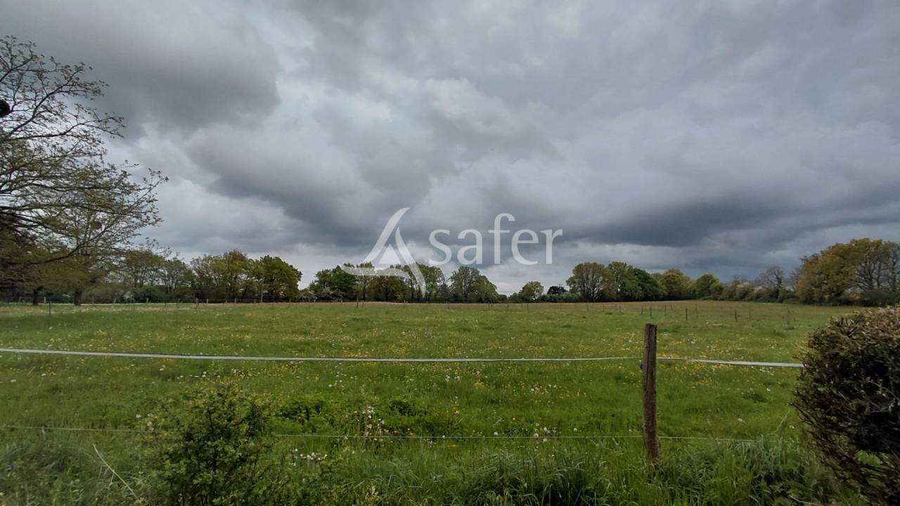 Propriet&agrave; equestre In vendita Deux-S&egrave;vres
