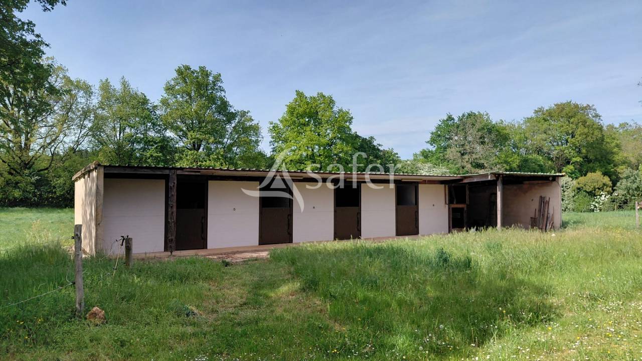 Propriet&agrave; equestre In vendita Deux-S&egrave;vres