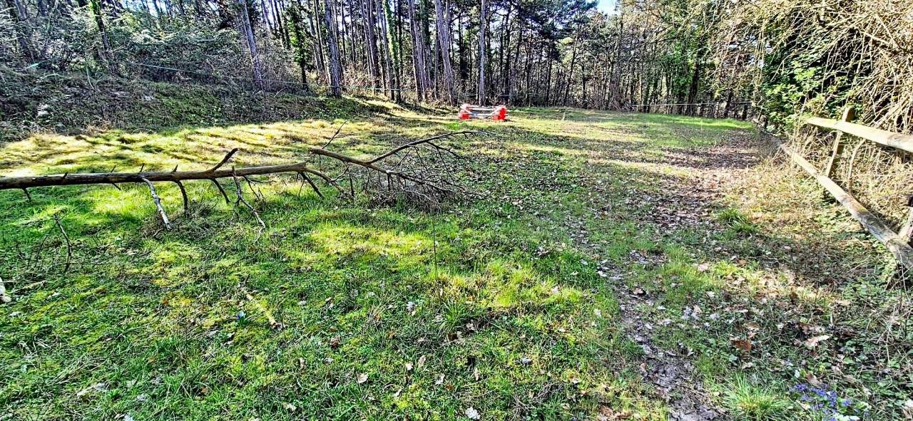 Propriet&agrave; equestre In vendita Essonne