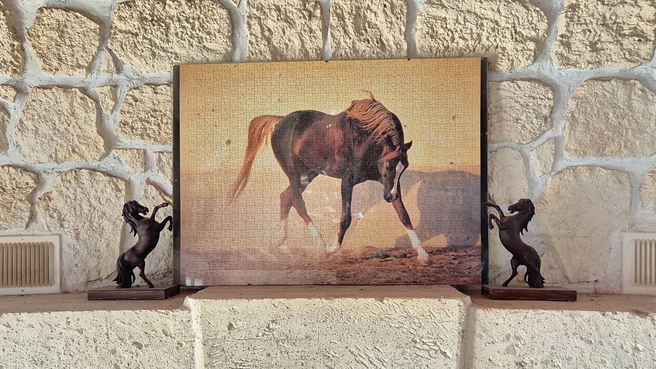 Propriet&agrave; equestre In vendita Essonne