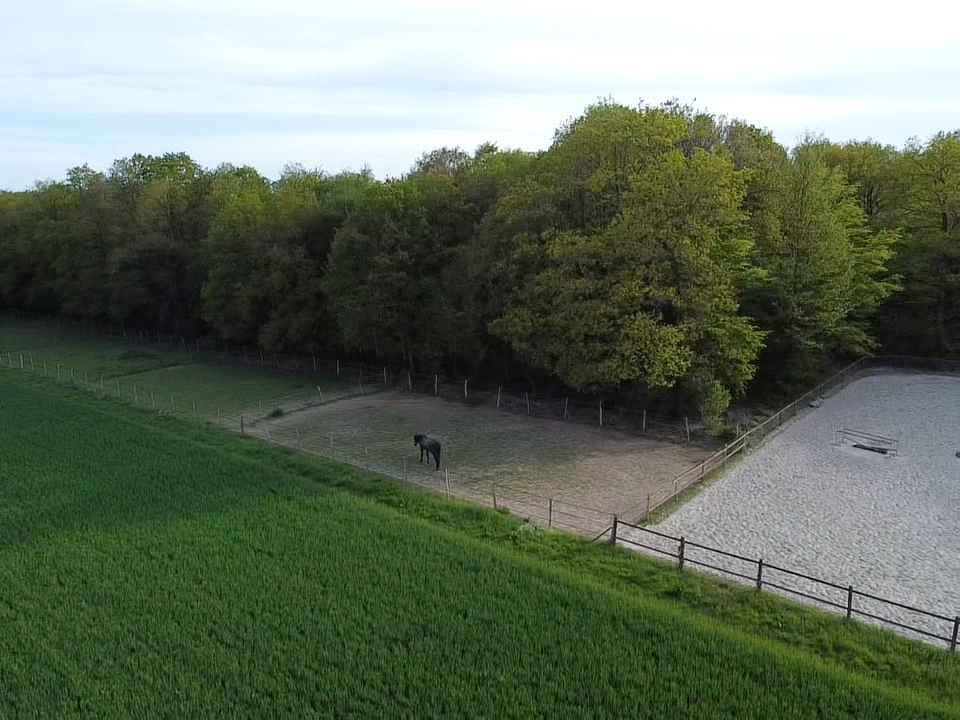 Propriet&agrave; equestre In vendita Eure
