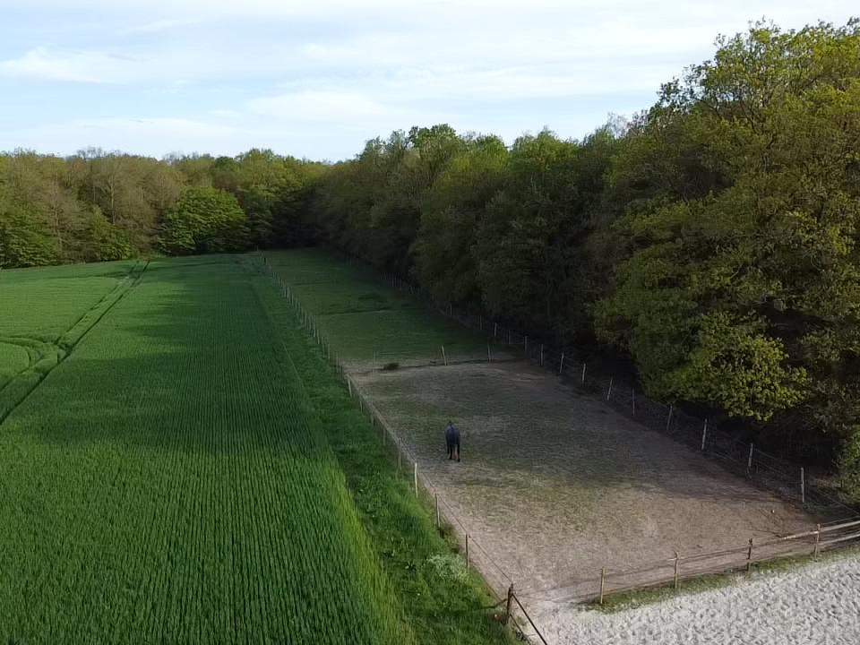 Propriet&agrave; equestre In vendita Eure