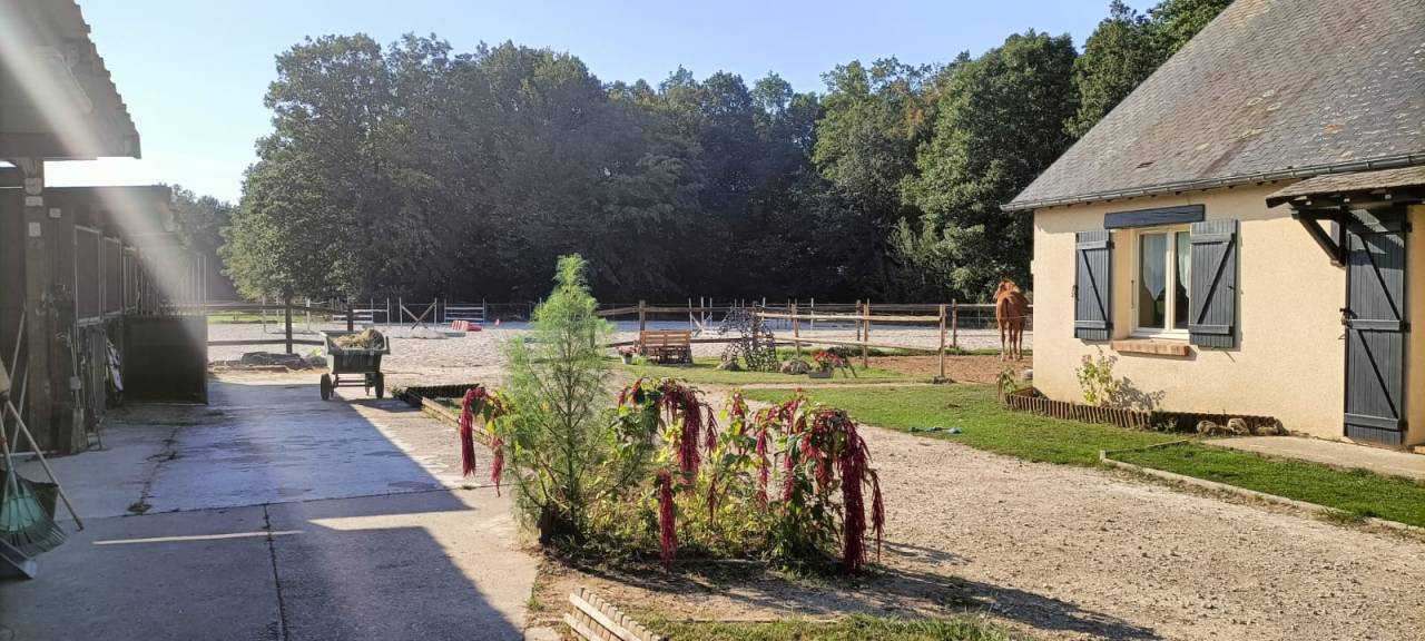 Propriet&agrave; equestre In vendita Eure
