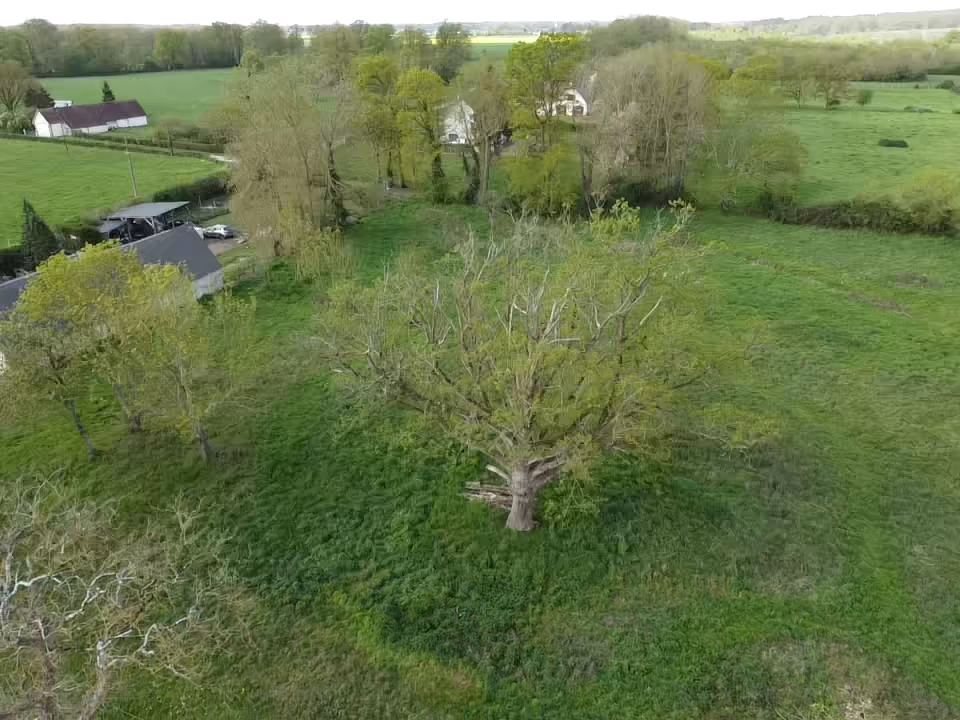 Propriet&agrave; equestre In vendita Eure