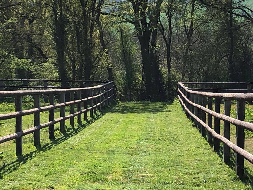 Centro di stagione cavallo In vendita Orne