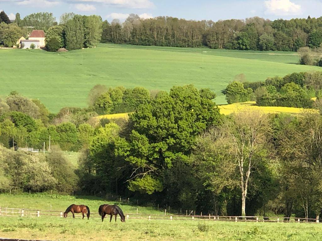 Centro di stagione cavallo In vendita Orne