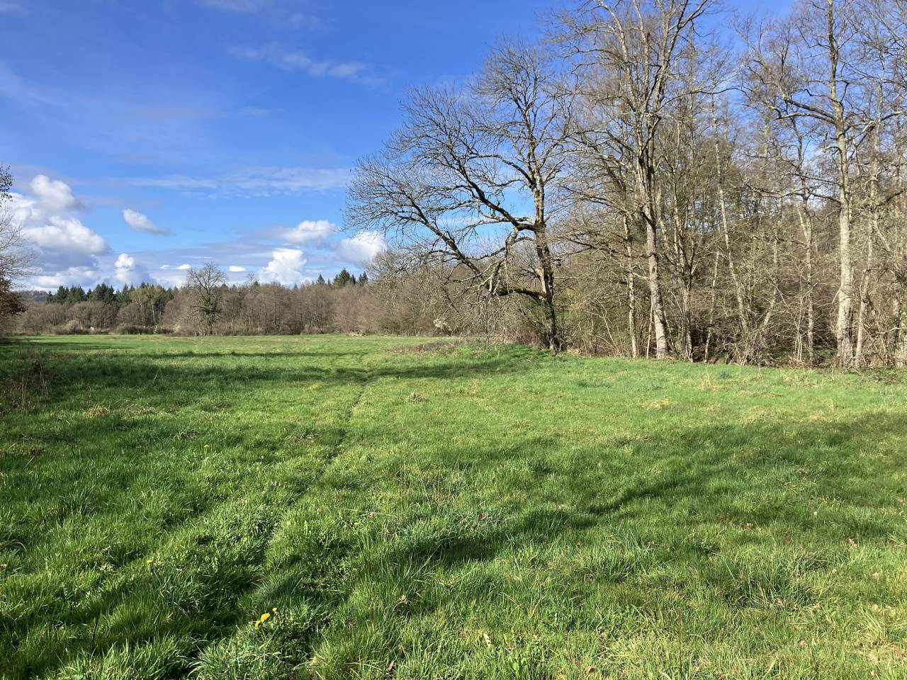 Centro ippico In vendita Puy-de-D&ocirc;me