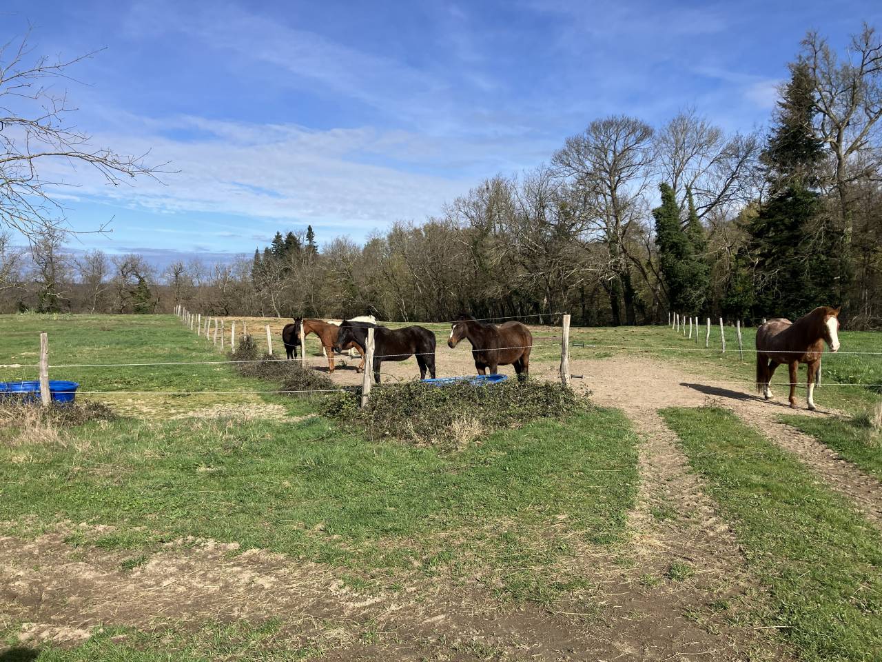 Centro ippico In vendita Puy-de-D&ocirc;me