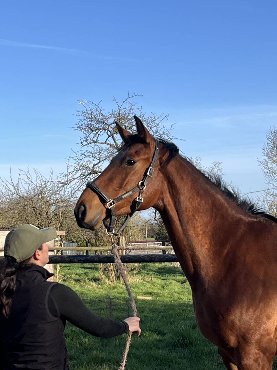 Tirocinante - Tirocinante Part-time - Calvados Francia