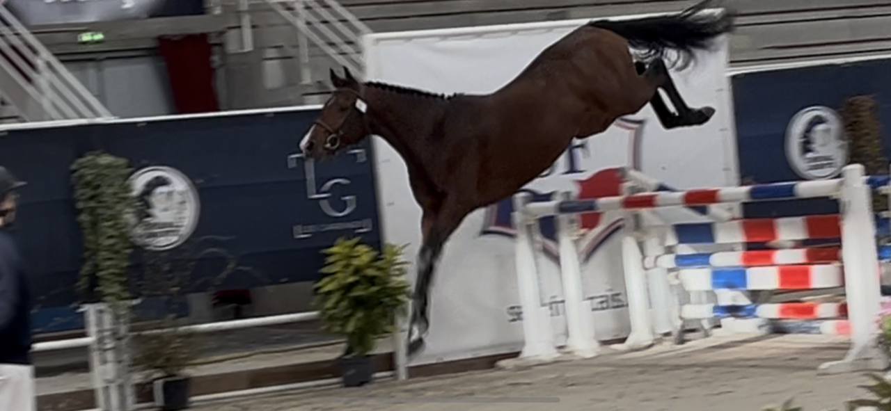 Tirocinante - Tirocinante Part-time - Calvados Francia