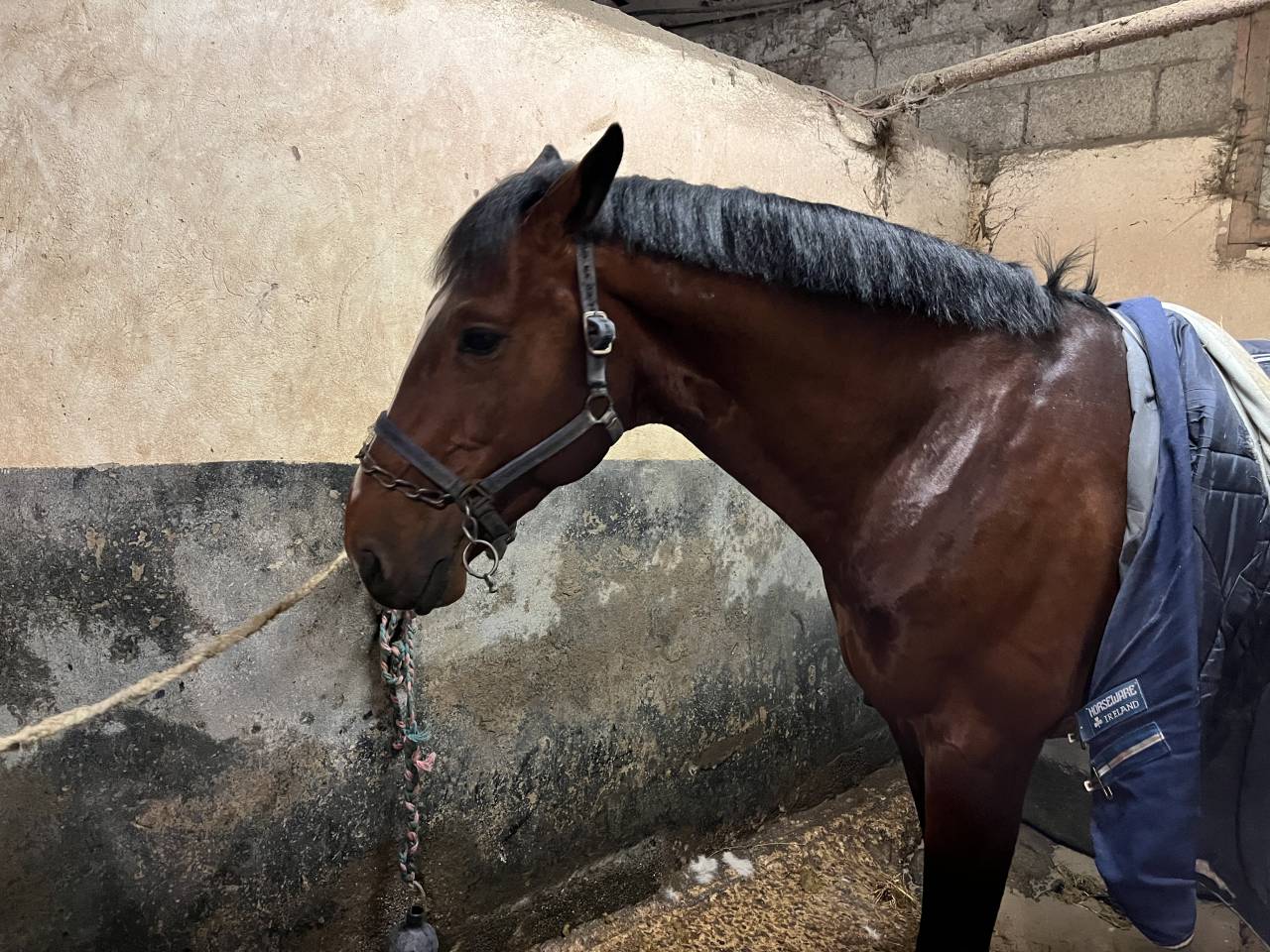 Tirocinante - Tirocinante Part-time - Calvados Francia