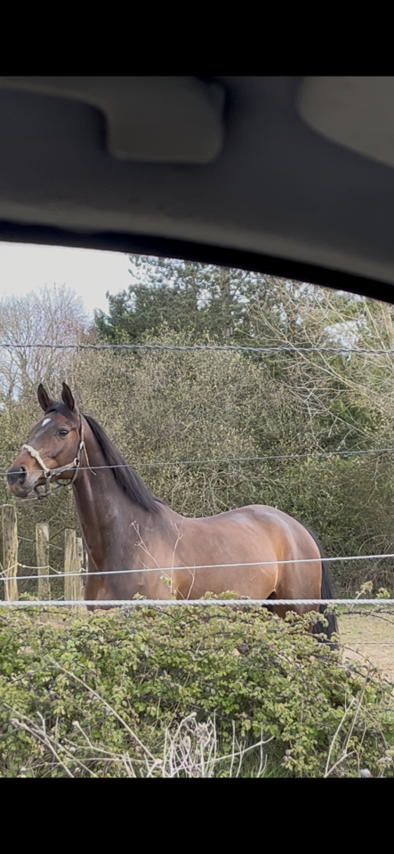 Tirocinante - Tirocinante Part-time - Calvados Francia