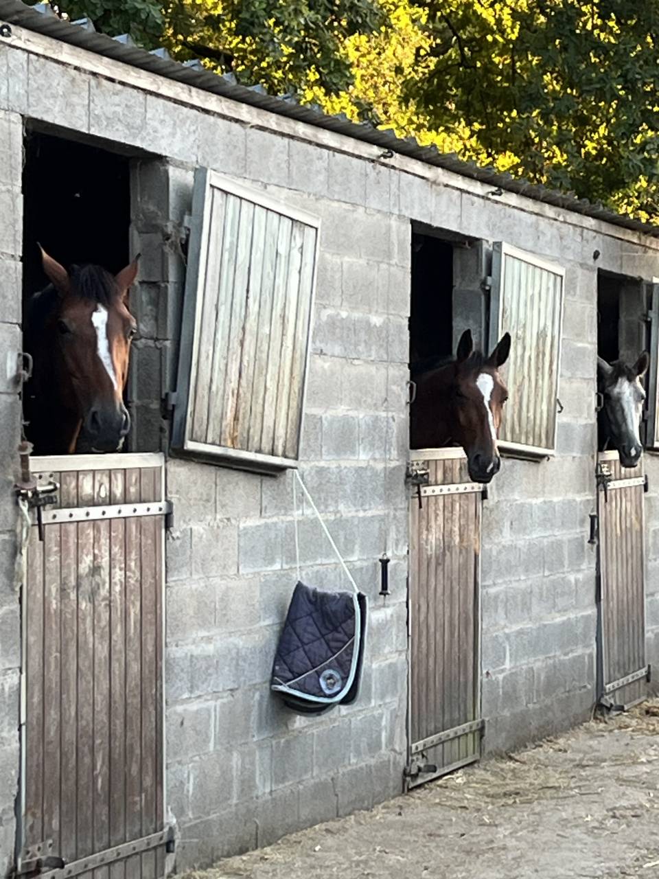 Apprendista - Apprendista Part-time - Calvados Francia