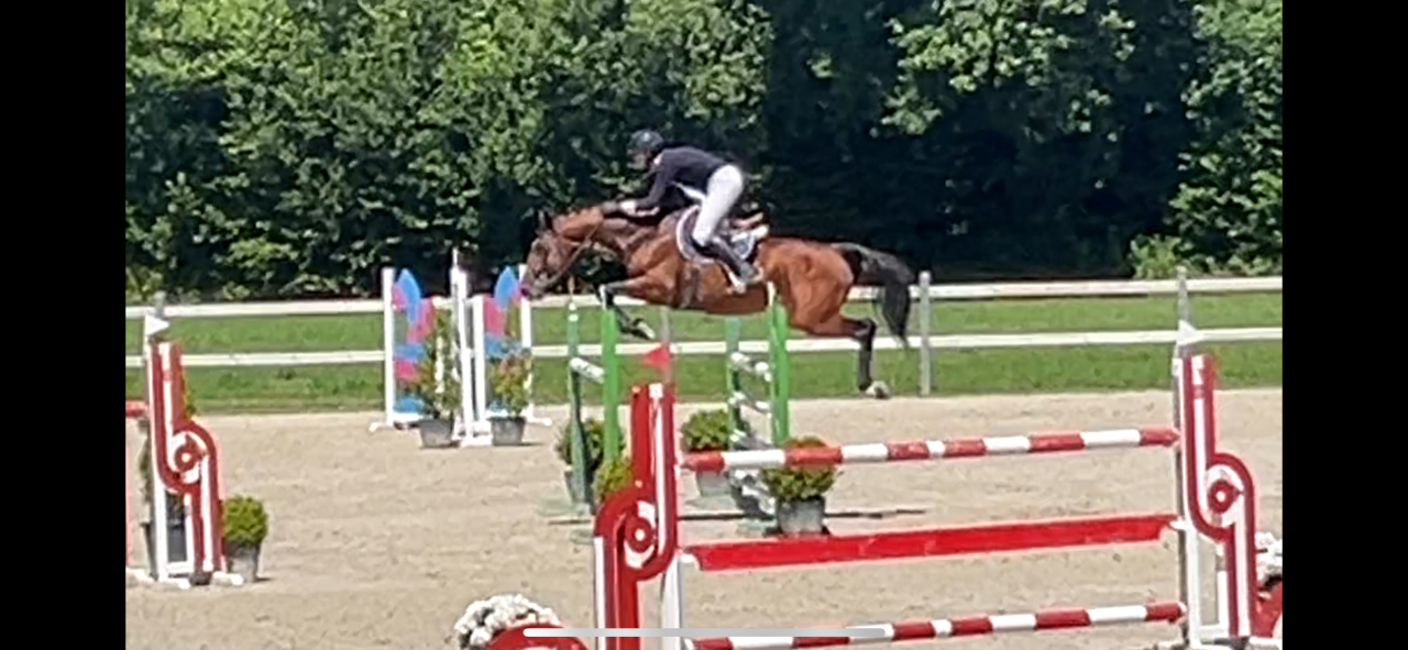 Apprendista - Apprendista Part-time - Calvados Francia