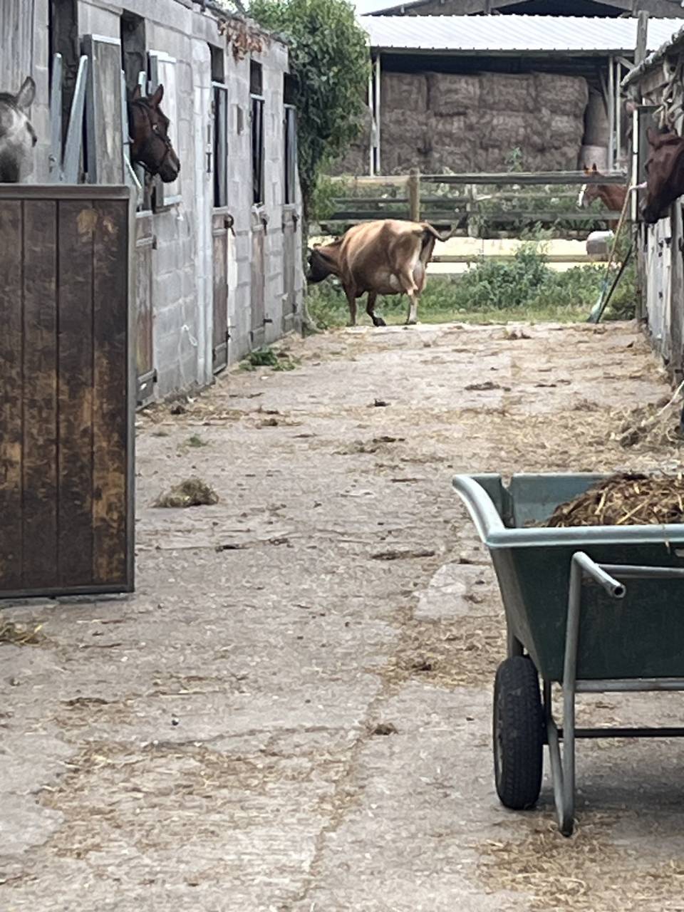 Apprendista - Apprendista Part-time - Calvados Francia