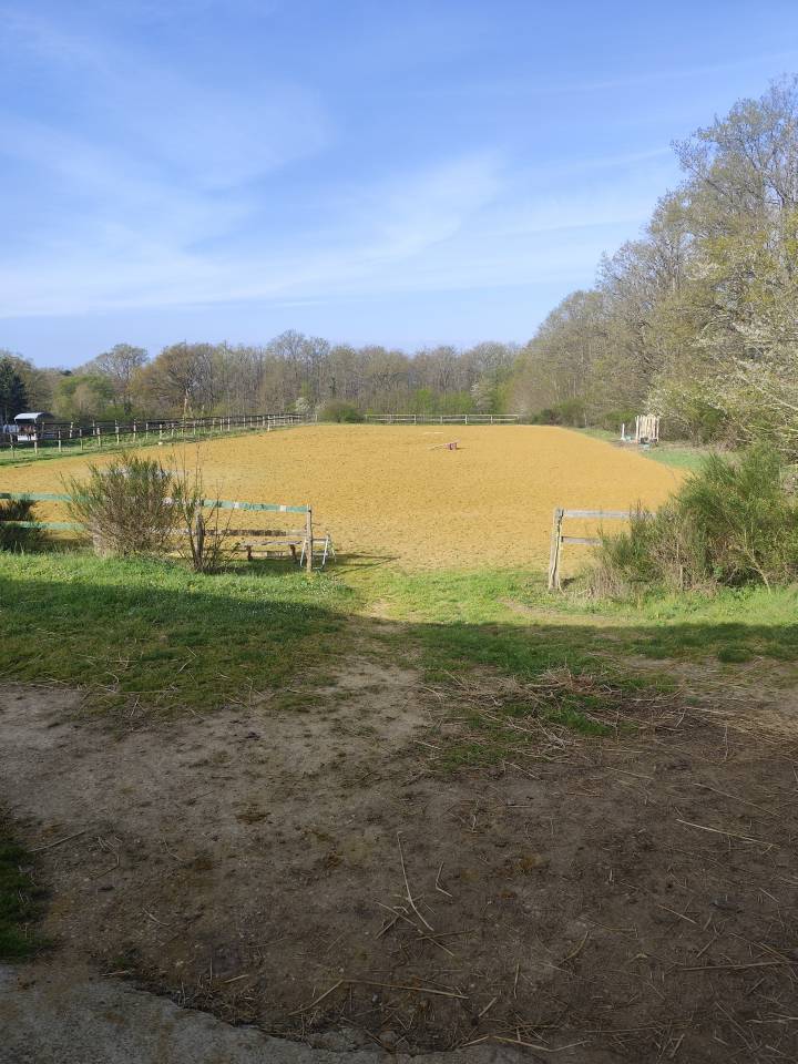 Scuderia per proprietari In vendita Loir-et-Cher