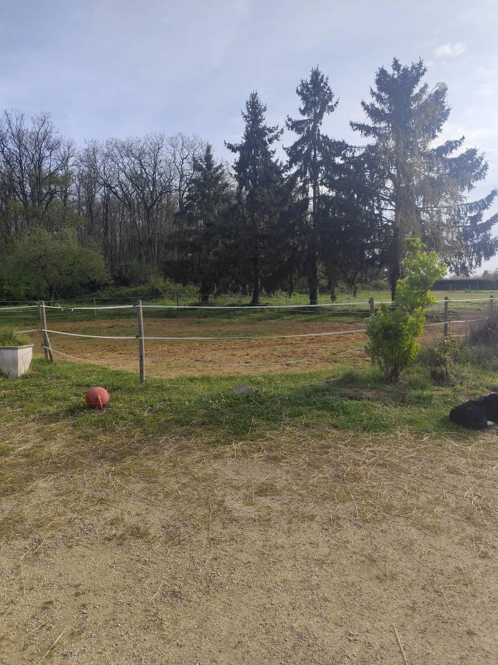 Scuderia per proprietari In vendita Loir-et-Cher