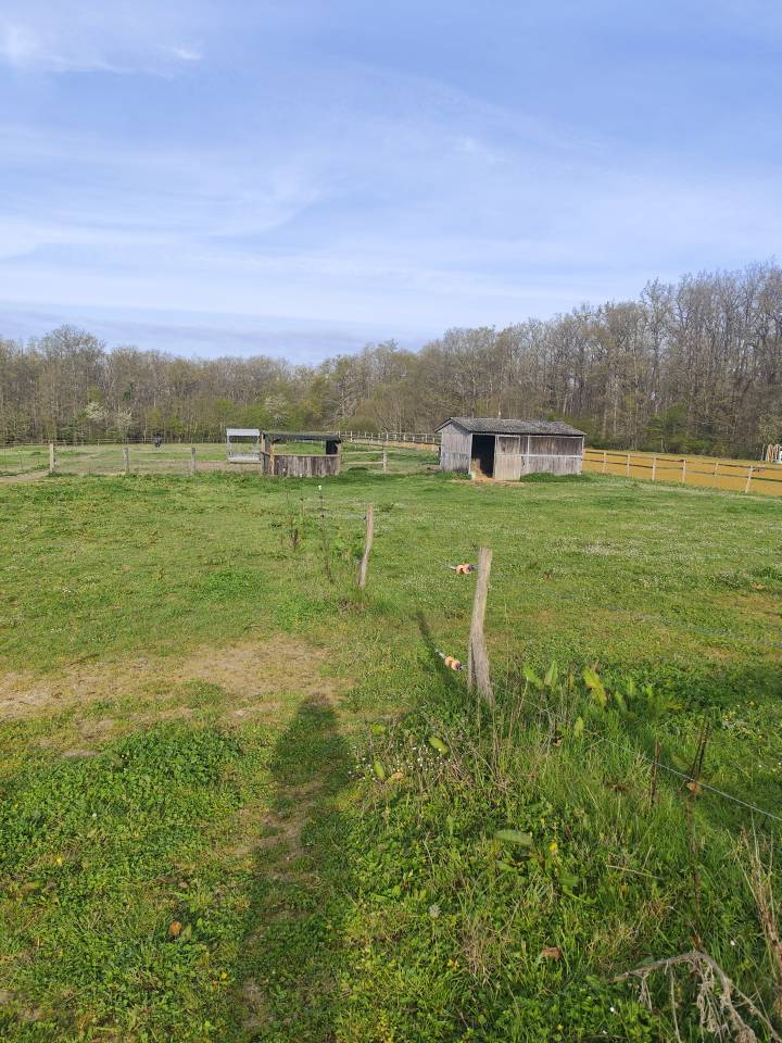 Scuderia per proprietari In vendita Loir-et-Cher