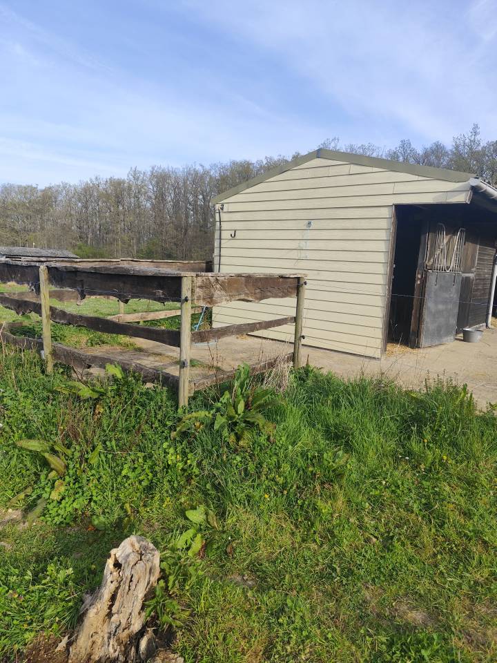 Scuderia per proprietari In vendita Loir-et-Cher