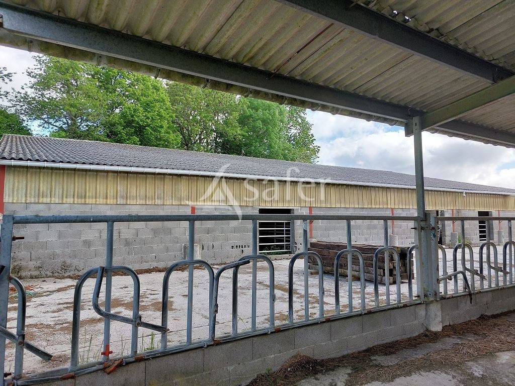Azienda agricola In vendita Corr&egrave;ze