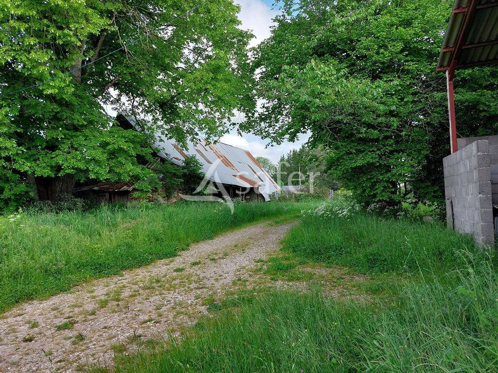 Azienda agricola In vendita Corr&egrave;ze