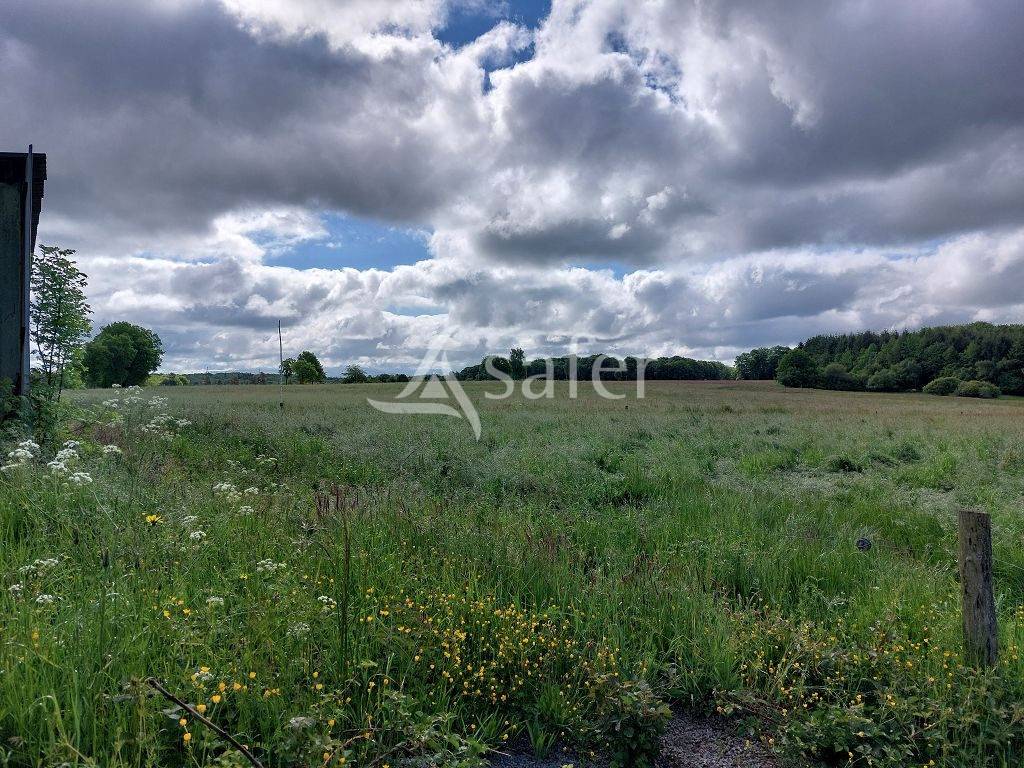 Azienda agricola In vendita Corr&egrave;ze