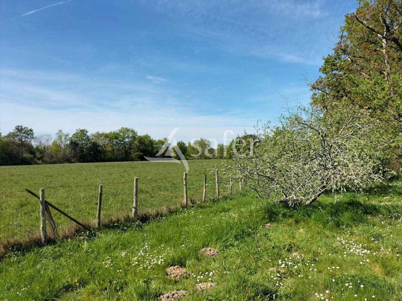 Azienda agricola In vendita Vend&eacute;e