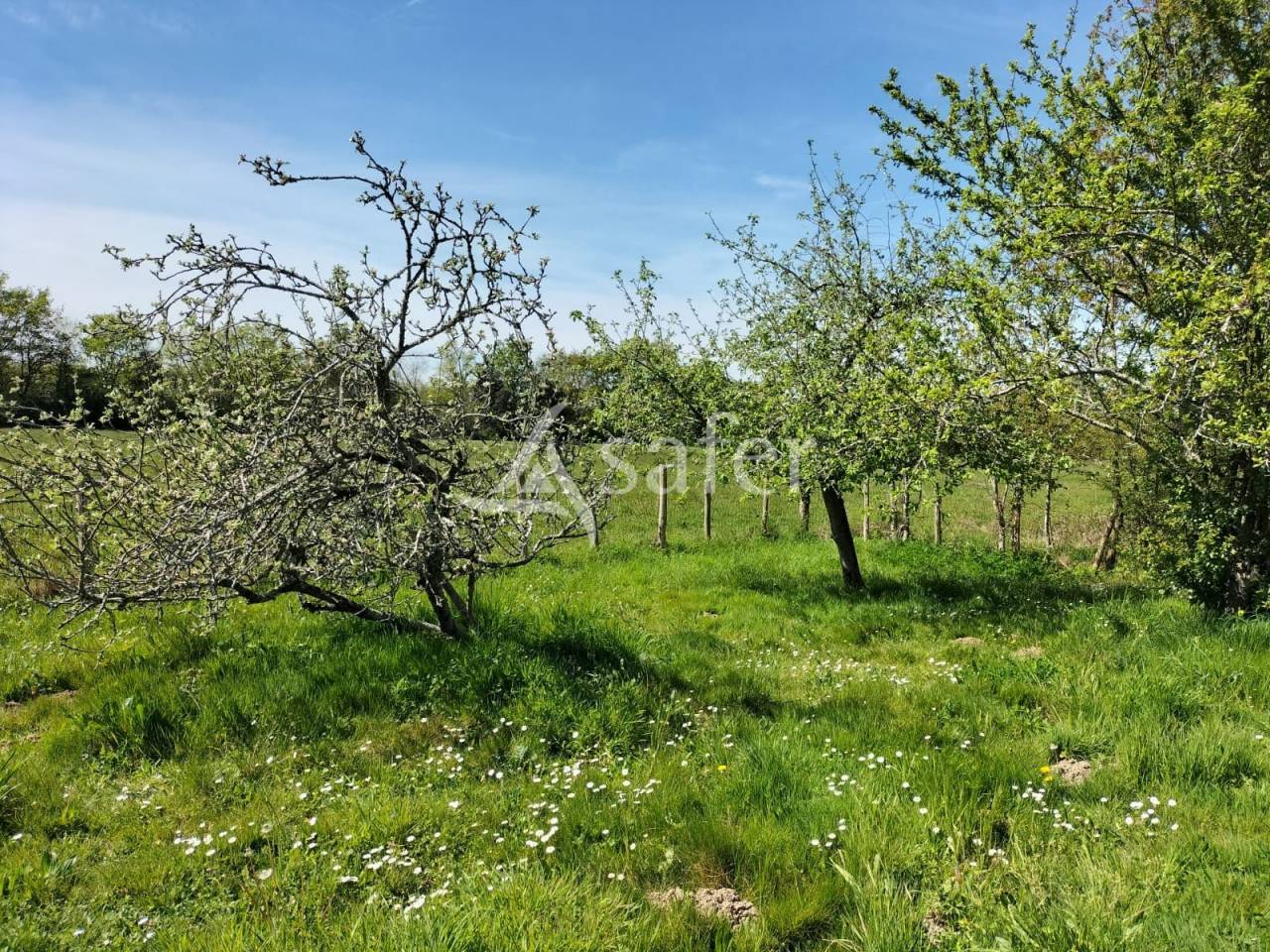 Azienda agricola In vendita Vend&eacute;e
